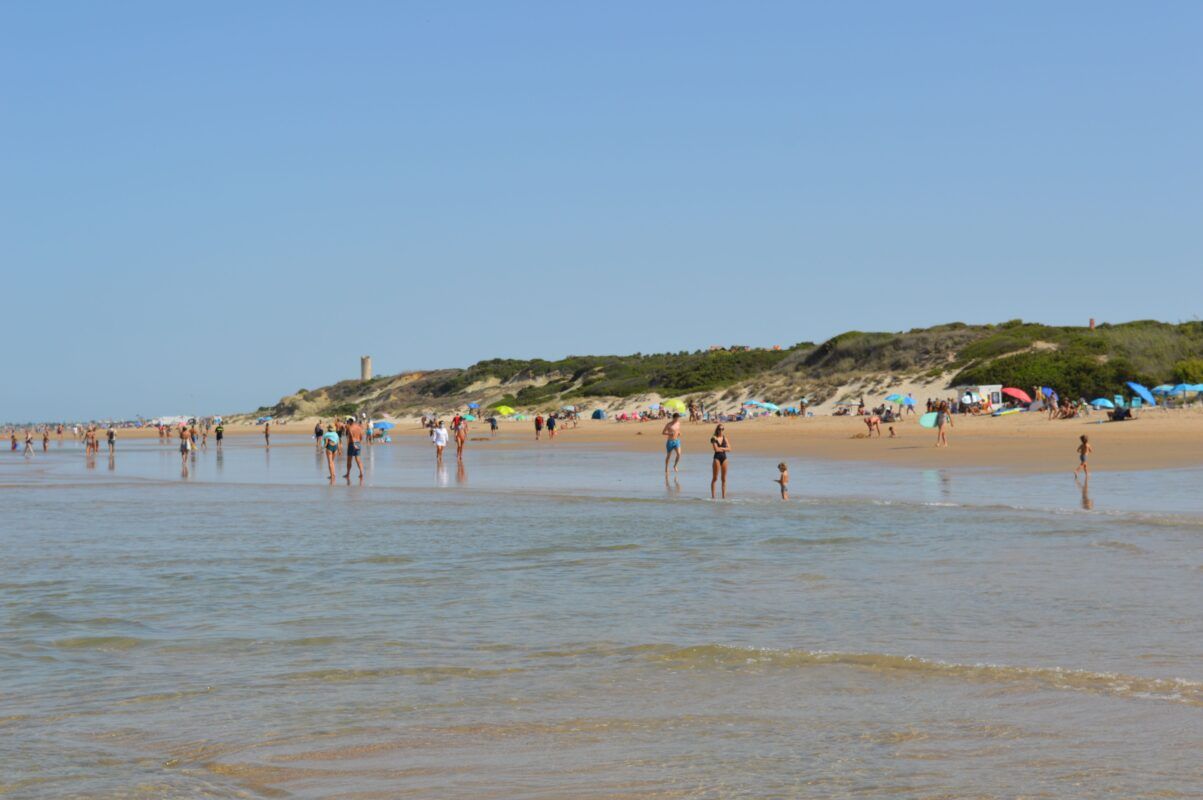 Apartamentos en chiclana guia de playas y naturaleza