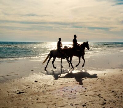 Paseos a caballo en Chiclana
