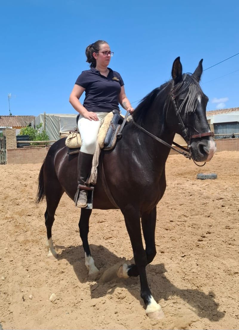 Foto de Club hípico del Sur, Hípica y Rutas a Caballo en La Barrosa, Chiclana