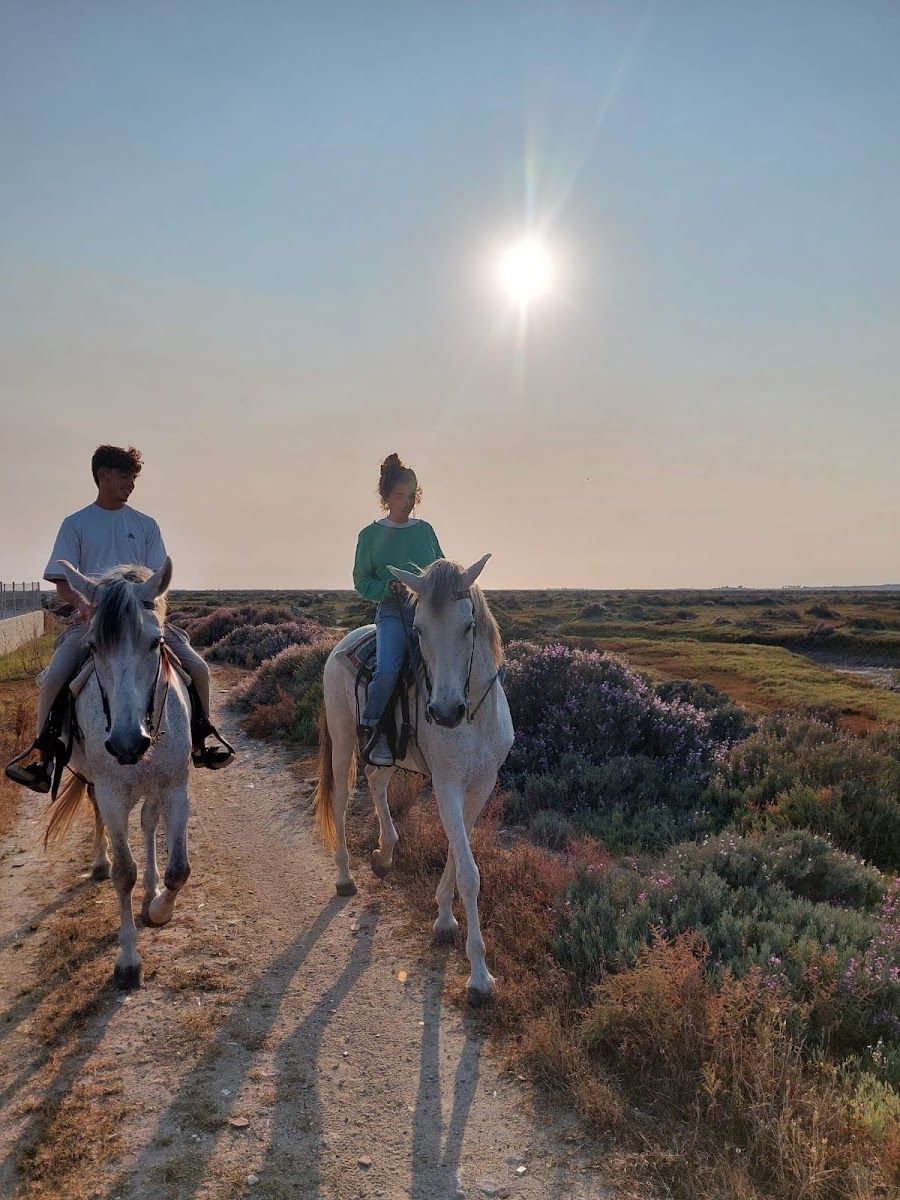 Foto de Centro ecuestre americano La Libertad, Hípica y Rutas a Caballo en Las Salinas, Chiclana