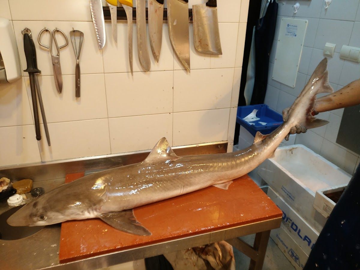 Foto de Pescadería Nicolás, Producto Local de Chiclana en Chiclana Centro, Chiclana